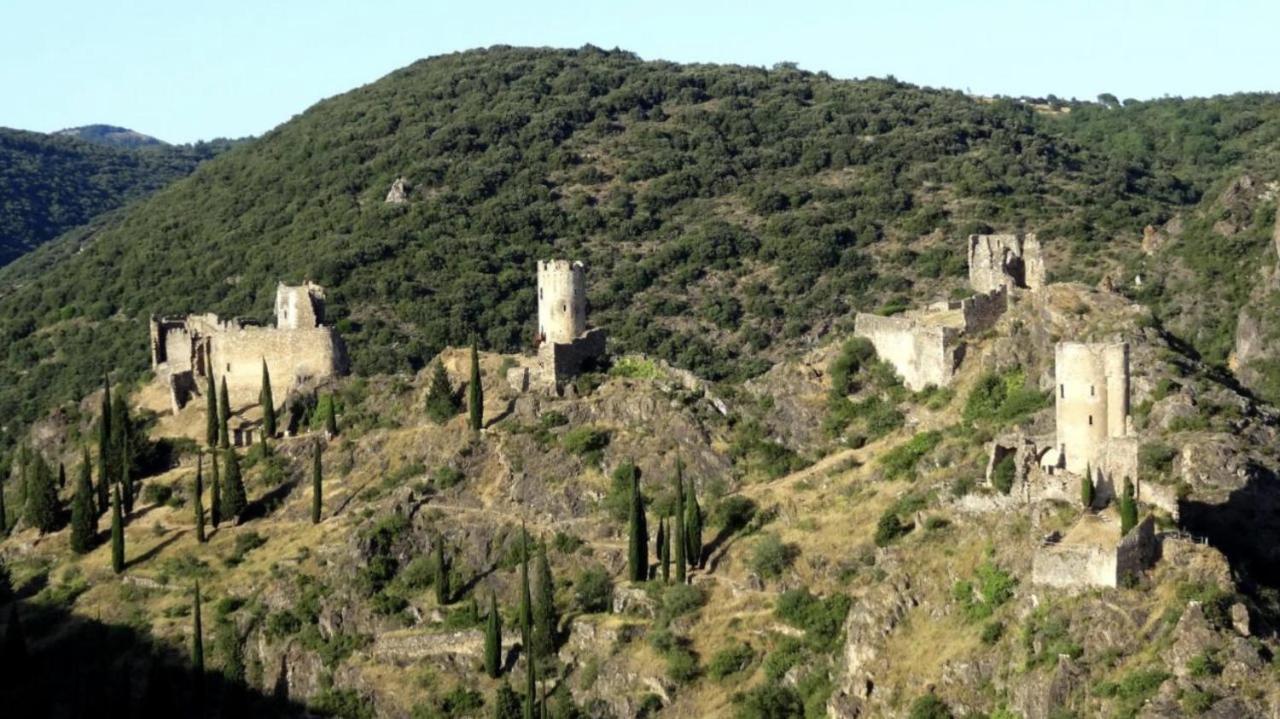 La Maison De Leontine La Liviniere المظهر الخارجي الصورة
